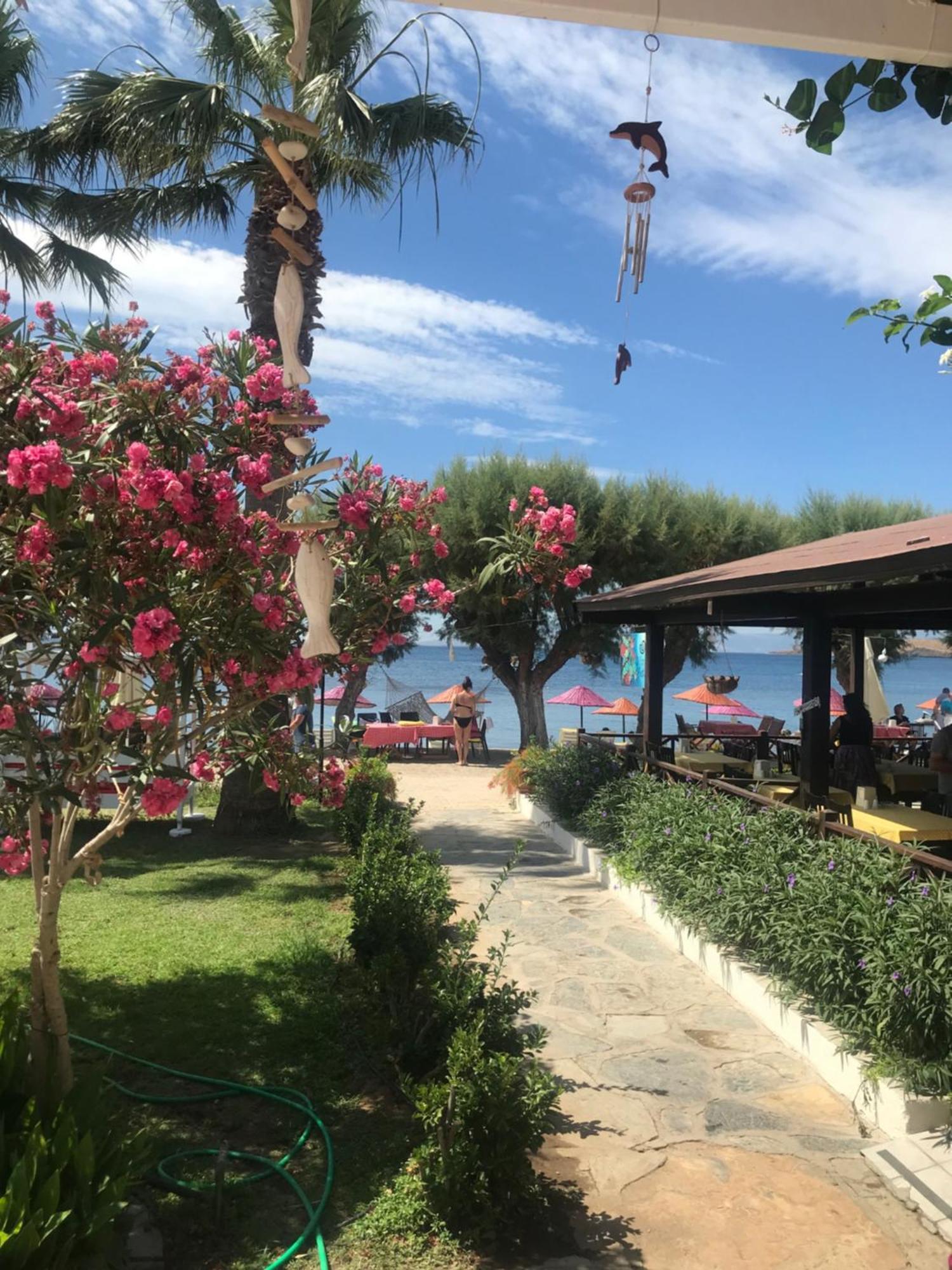 Yilmaz Hotel Ortakent Bagian luar foto