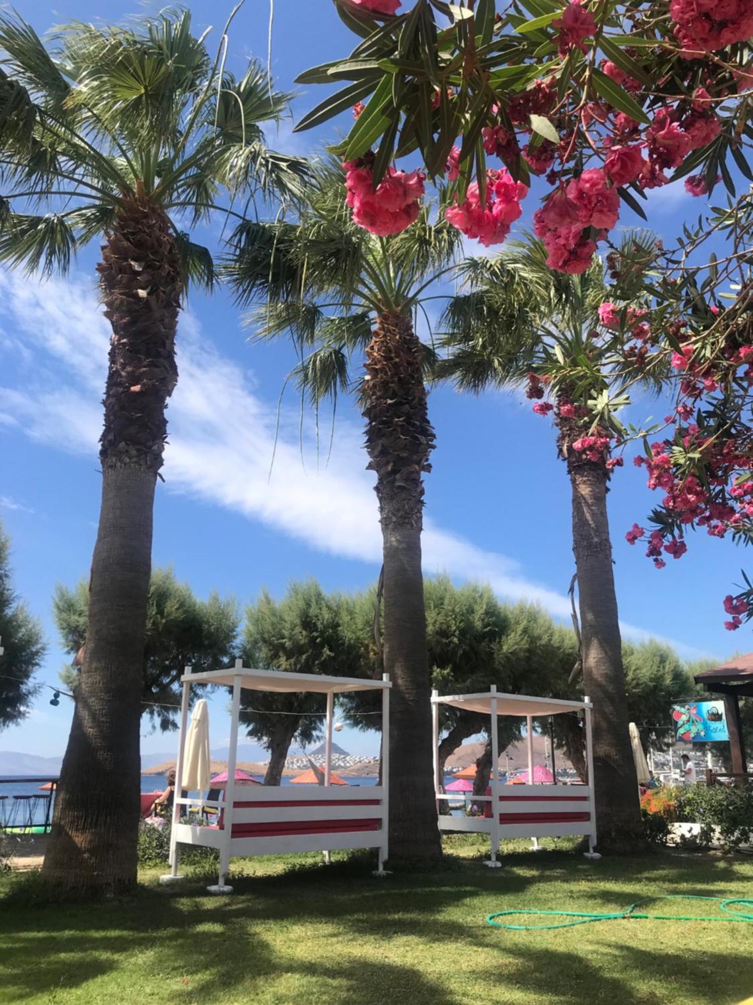 Yilmaz Hotel Ortakent Bagian luar foto