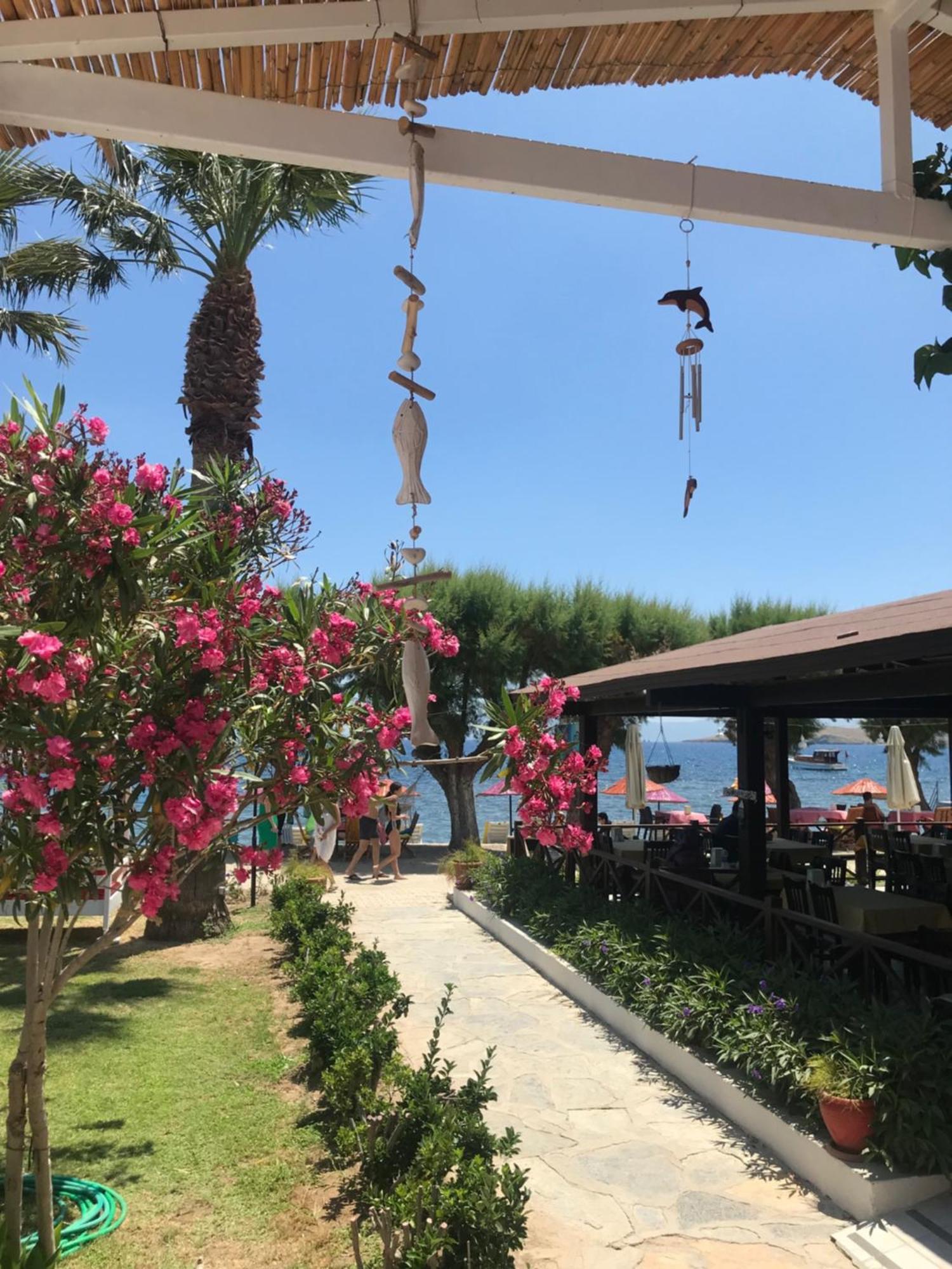 Yilmaz Hotel Ortakent Bagian luar foto