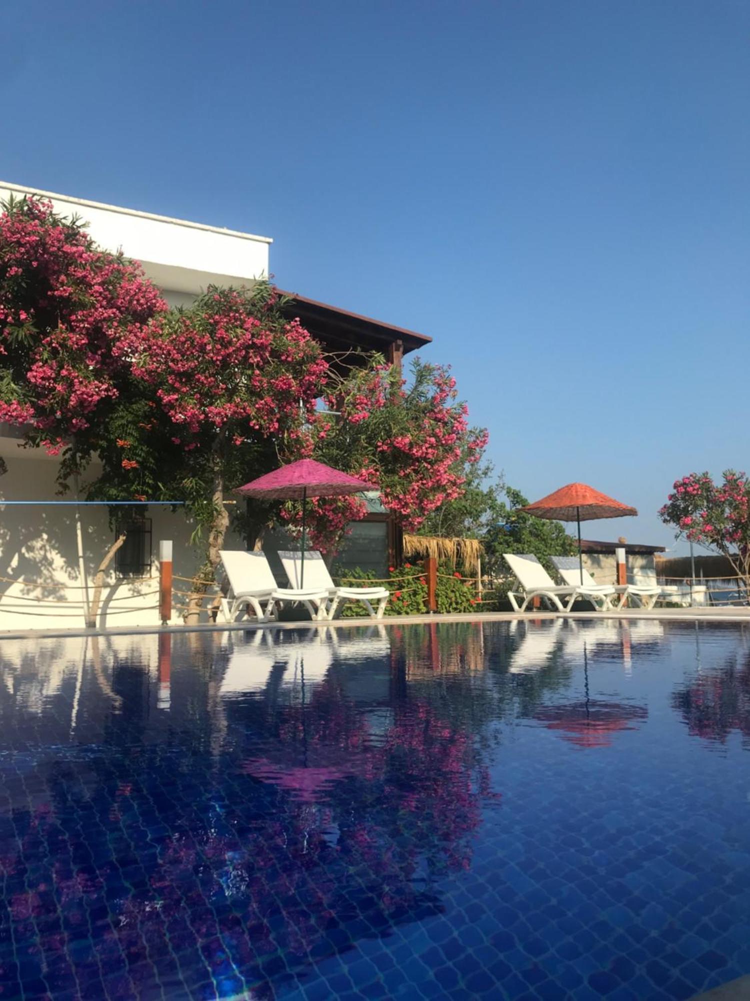 Yilmaz Hotel Ortakent Bagian luar foto