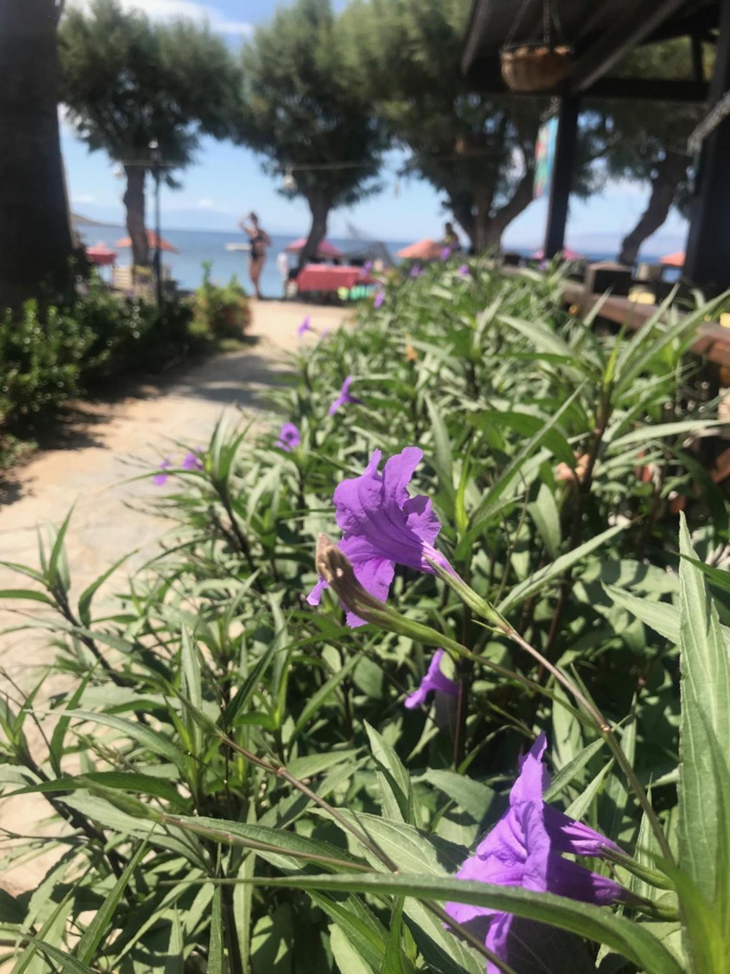 Yilmaz Hotel Ortakent Bagian luar foto